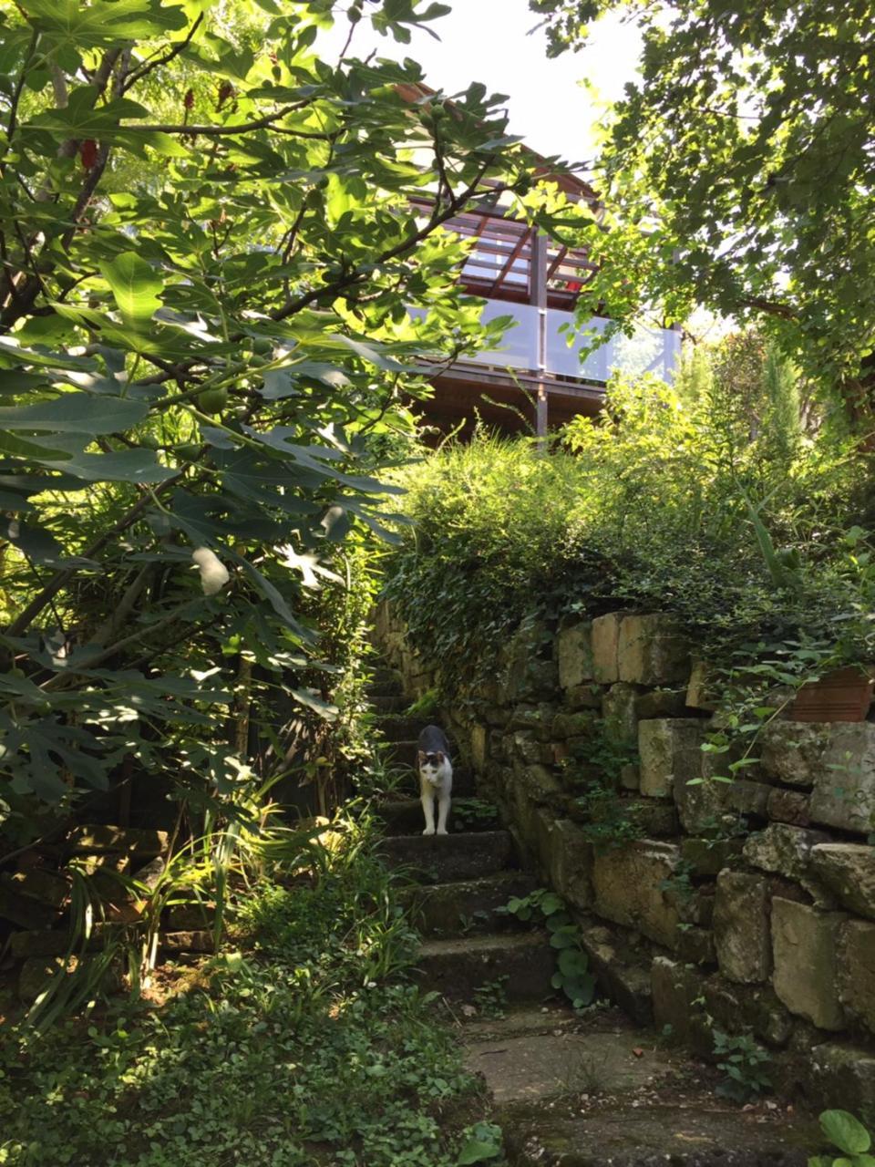 Pergola House In A Green Oasis With Fantastic View Petrovaradin Exterior foto