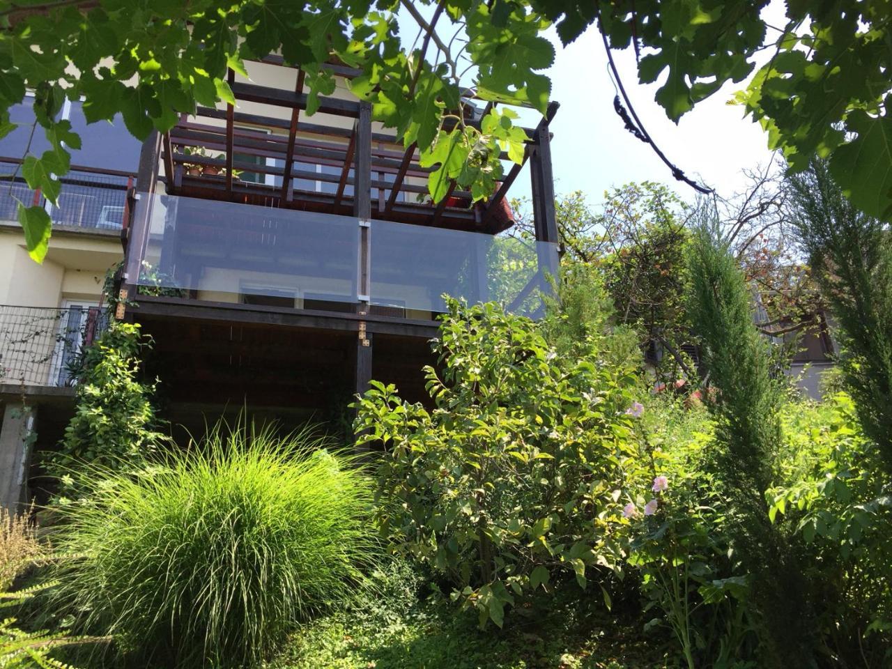 Pergola House In A Green Oasis With Fantastic View Petrovaradin Exterior foto